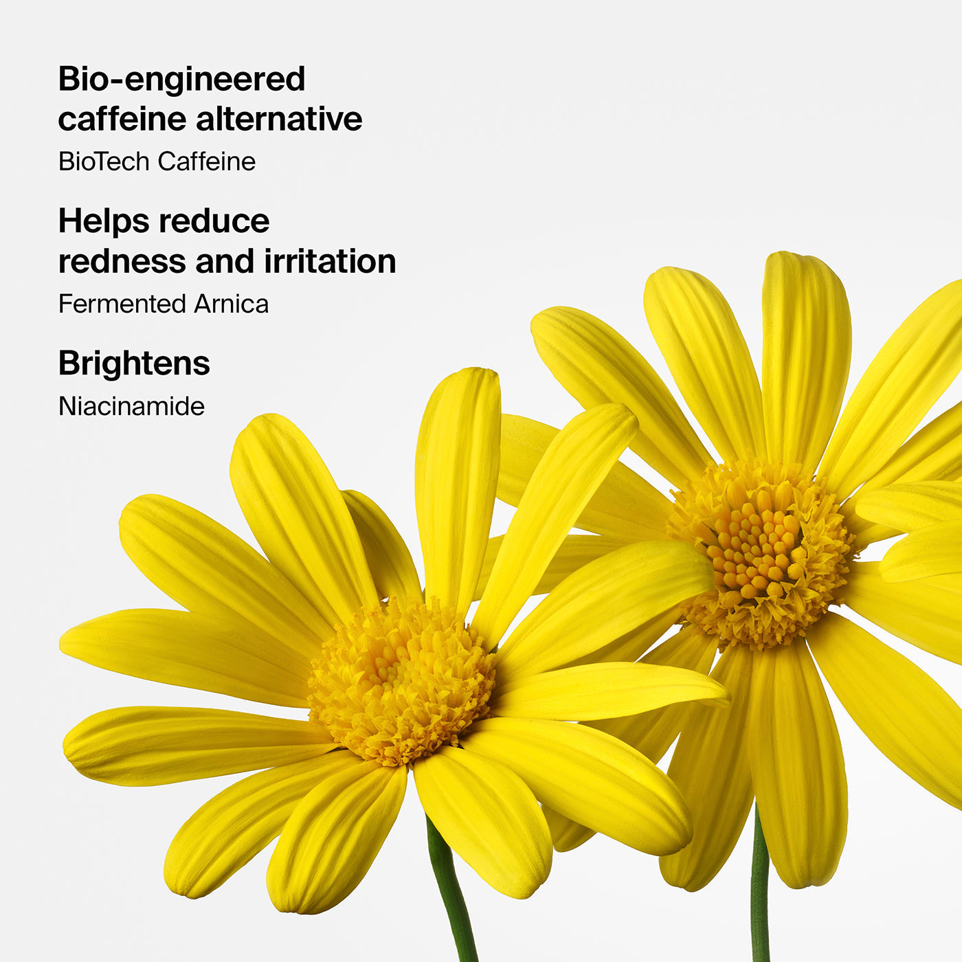 Triclone™ Skin Tech Concealer